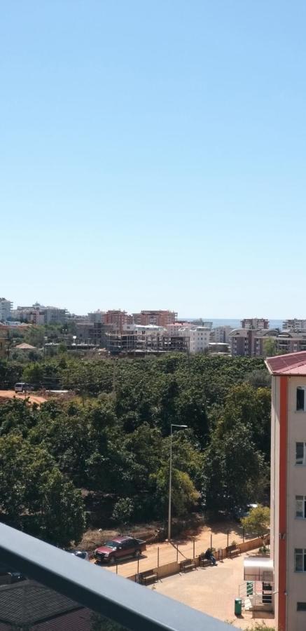 Apartament Carmel Sun *